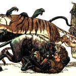 Tigers fighting Demons